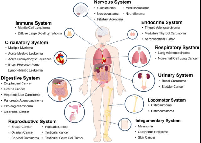 Rakovina jako generator signalu